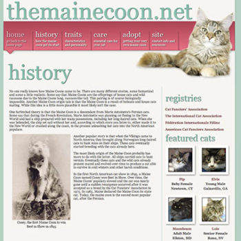 Maine Coon Site Mockup